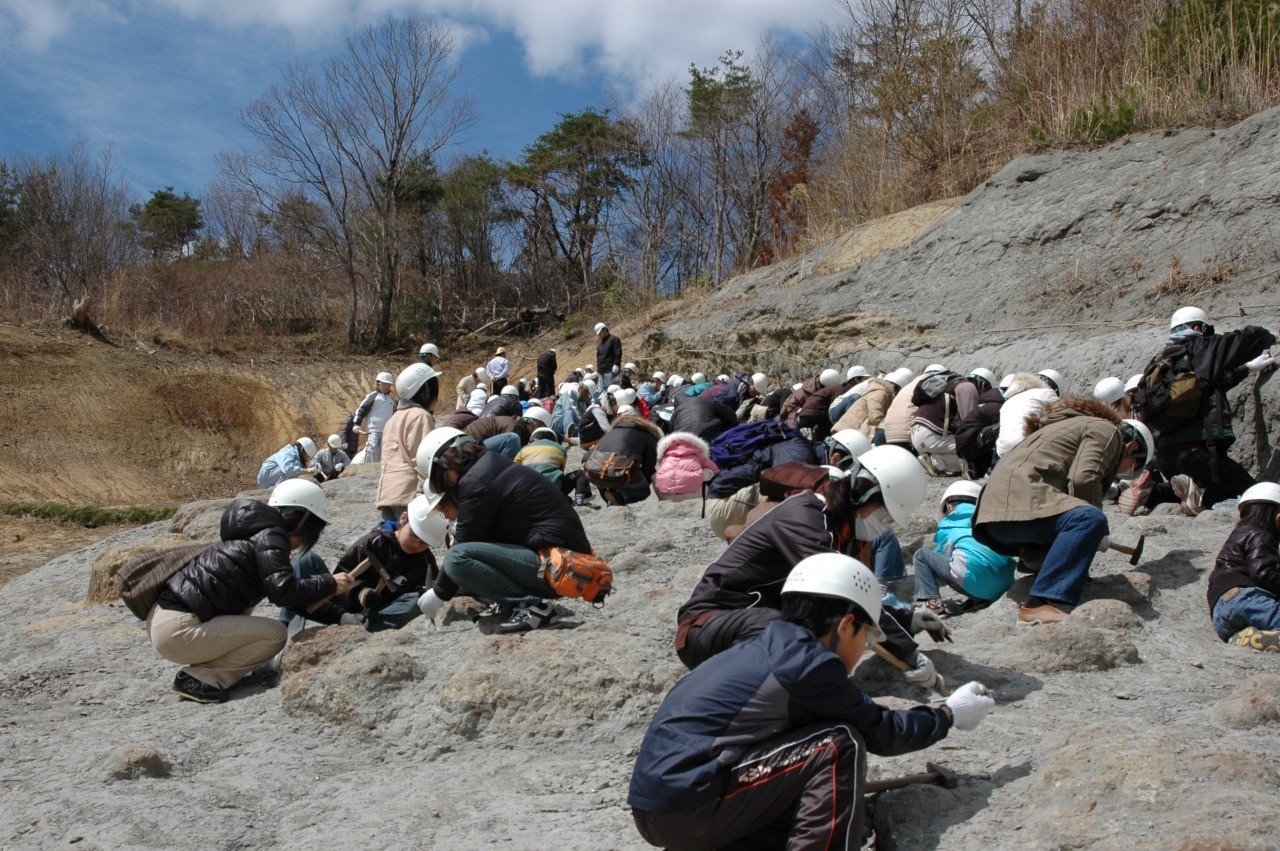 🔬 이와키시 암모나이트 센터 (이와키시 안모나이토 센타) 이미지 1